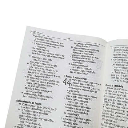 Biblia Leão Rei dos Reis | NAA