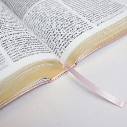 Biblia De Estudo Joyce Meyer | NVI