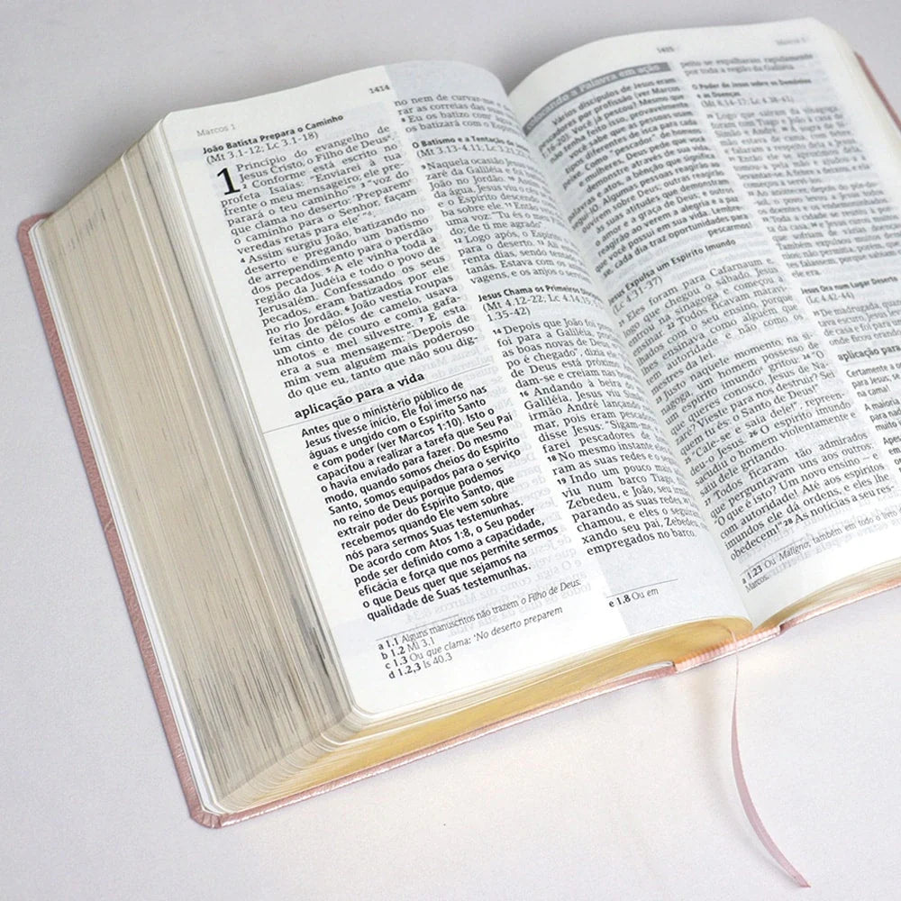 Biblia De Estudo Joyce Meyer | NVI