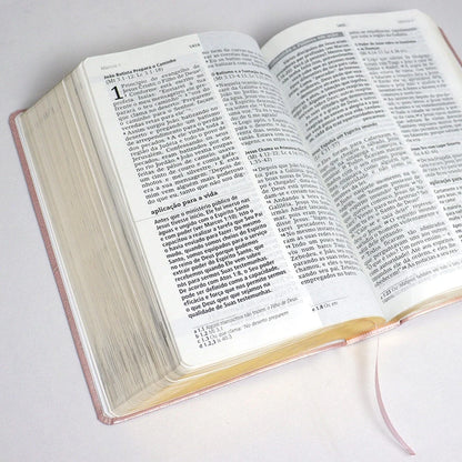 Biblia De Estudo Joyce Meyer | NVI