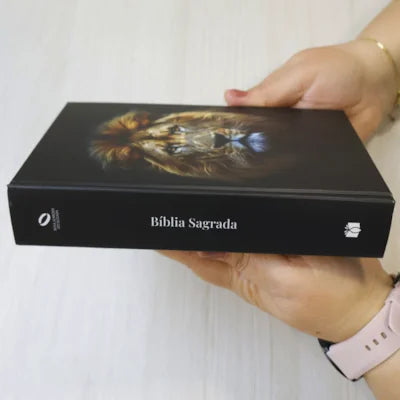 Bíblia Sagrada NAA
