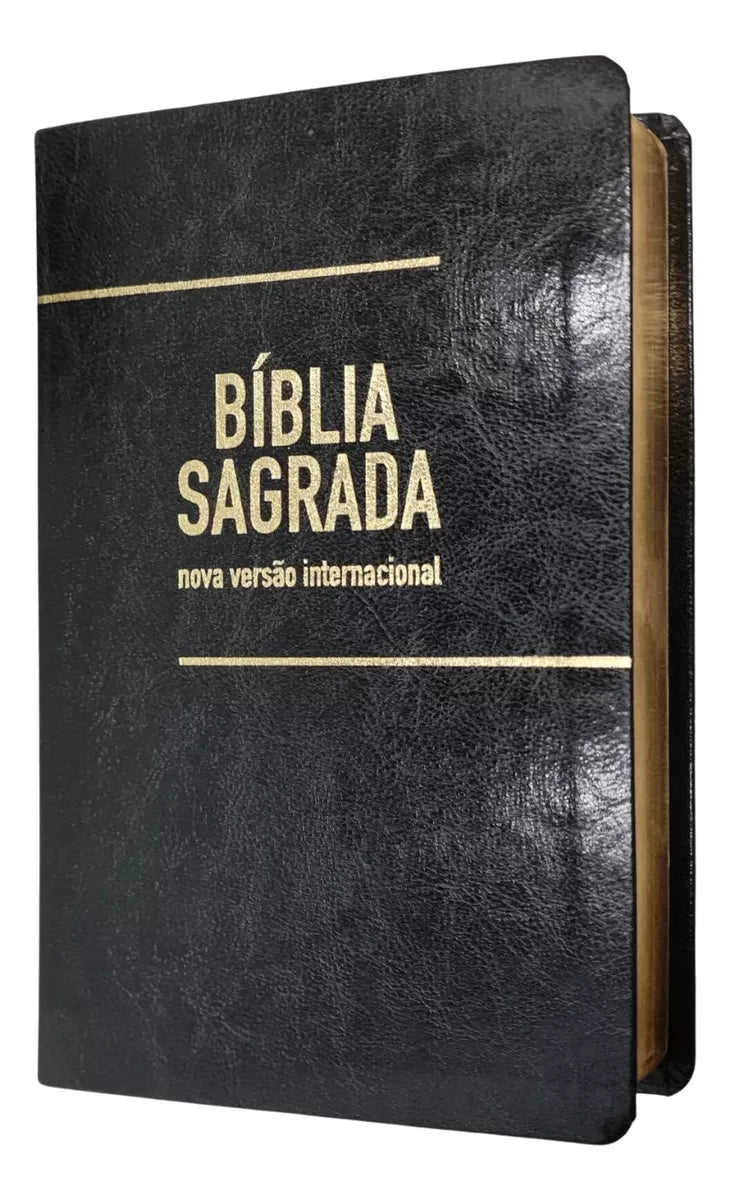 Holy Bible Giant Print NVI Black
