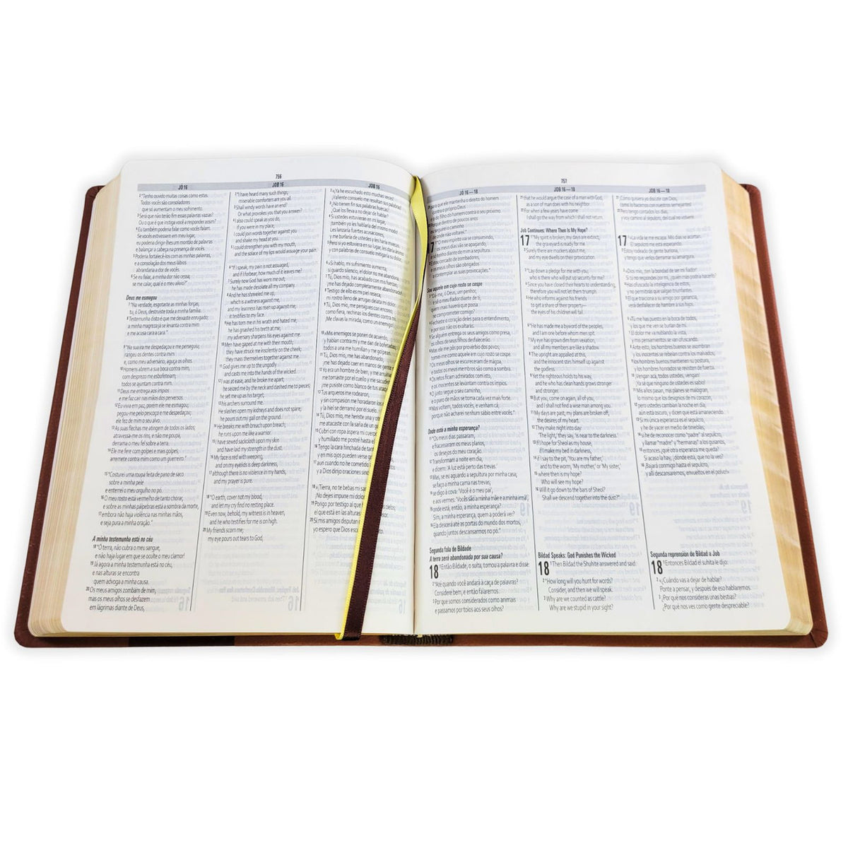 Bíblia Trilíngue Português English Español (NAA ESV RVC)