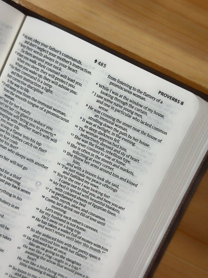 Holy Bible NLT Dark Brown - Small